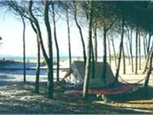 Campeggio La Mandragola 4
