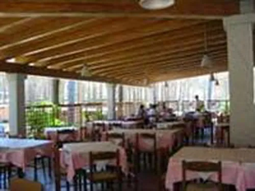 Campeggio La Mandragola 6