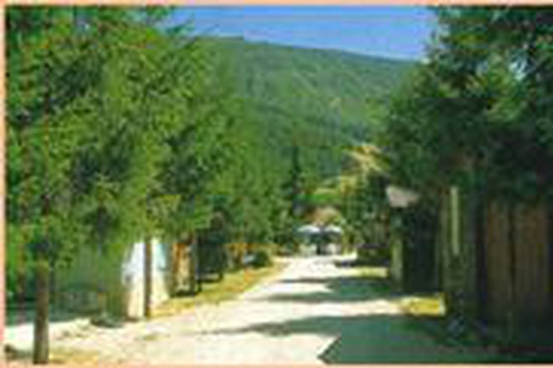 Campeggio La Panoramica 4