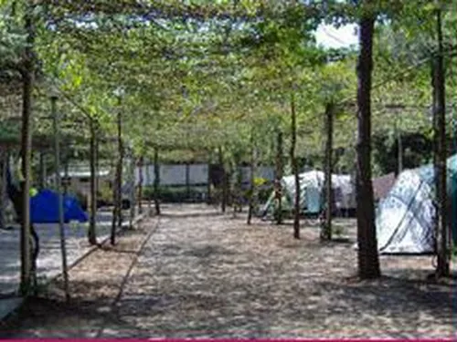 Campeggio La Pantera Rosa 5