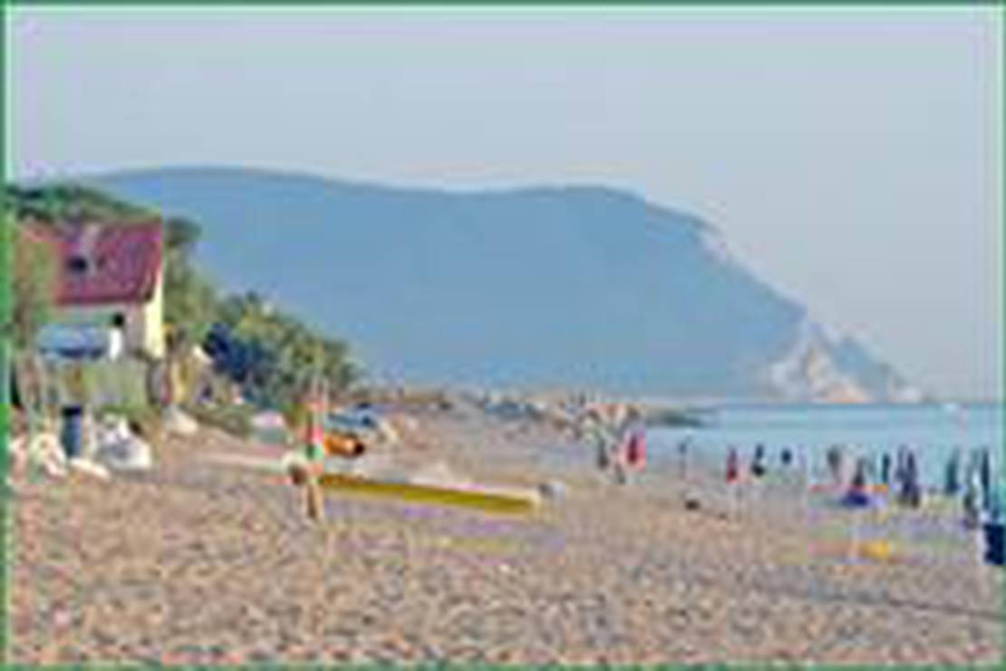 Campeggio La Pineta 4