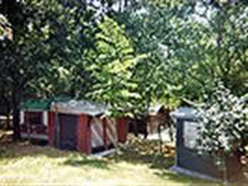 Campeggio La Pineta 6