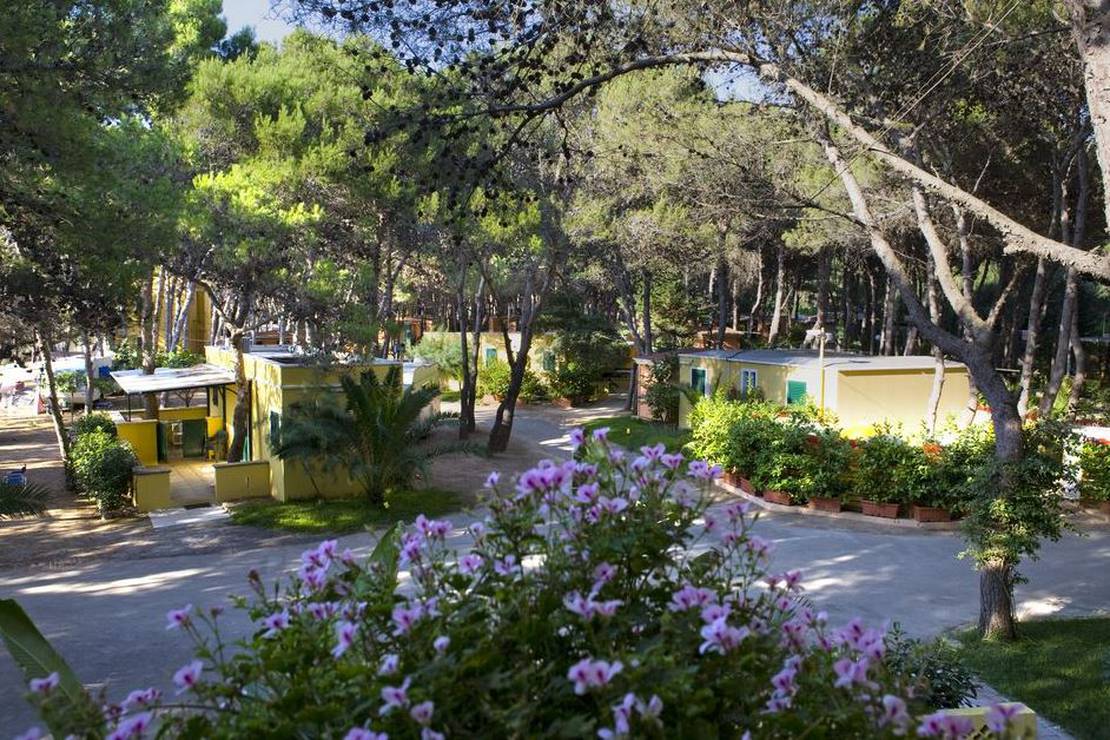 Campeggio La Vecchia Torre 4