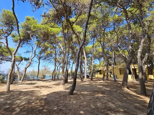 Campeggio La Vecchia Torre 5