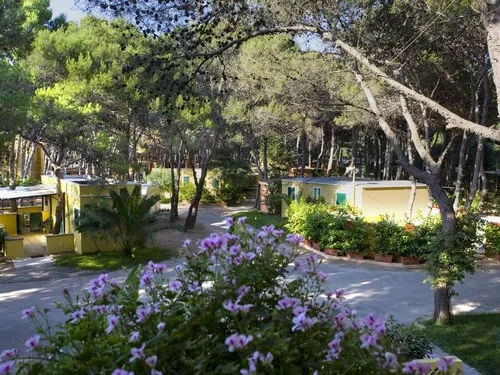 Campeggio La Vecchia Torre 3