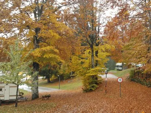 Campeggio Lago di Lavarone 2