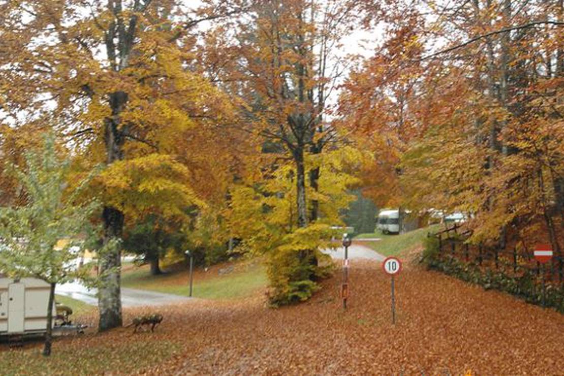 Campeggio Lago di Lavarone 3