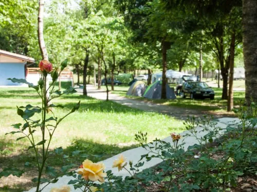 Campeggio Lago di Tenno 3