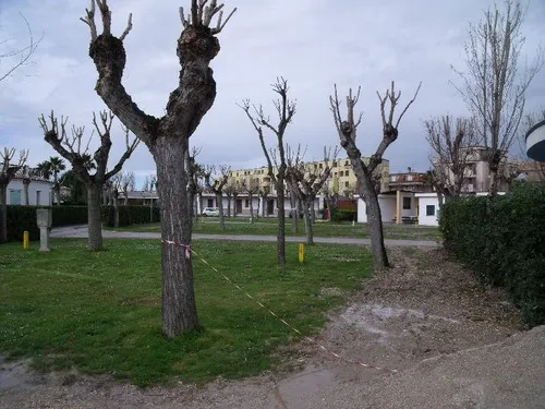 Club del Sole Le Mimose Family Resort 7