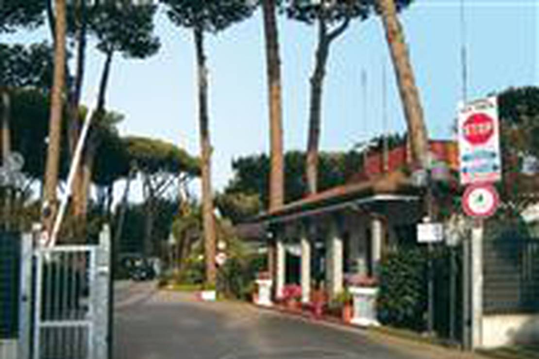 Campeggio Lilly Pineta 4