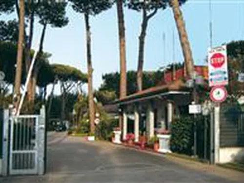 Campeggio Lilly Pineta 3