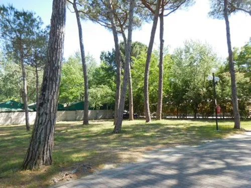 Campeggio Lilly Pineta 5