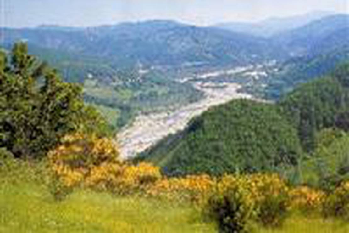 Campeggio Marecchia Da Quinto 4