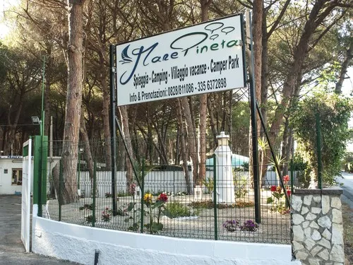 Mare Pineta Camping 3