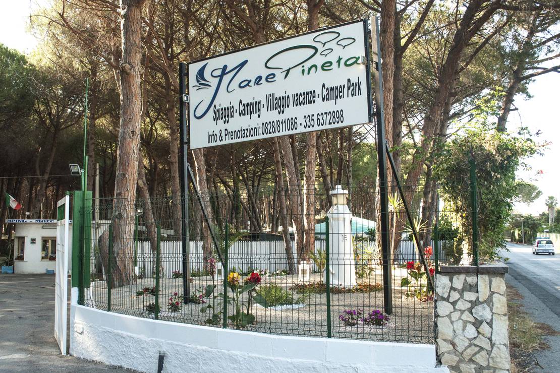 Mare Pineta Camping 4