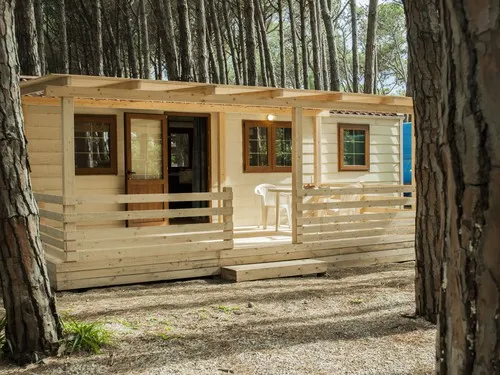 Mare Pineta Camping 5