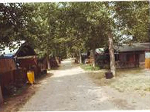 Campeggio Marina di Roma 3