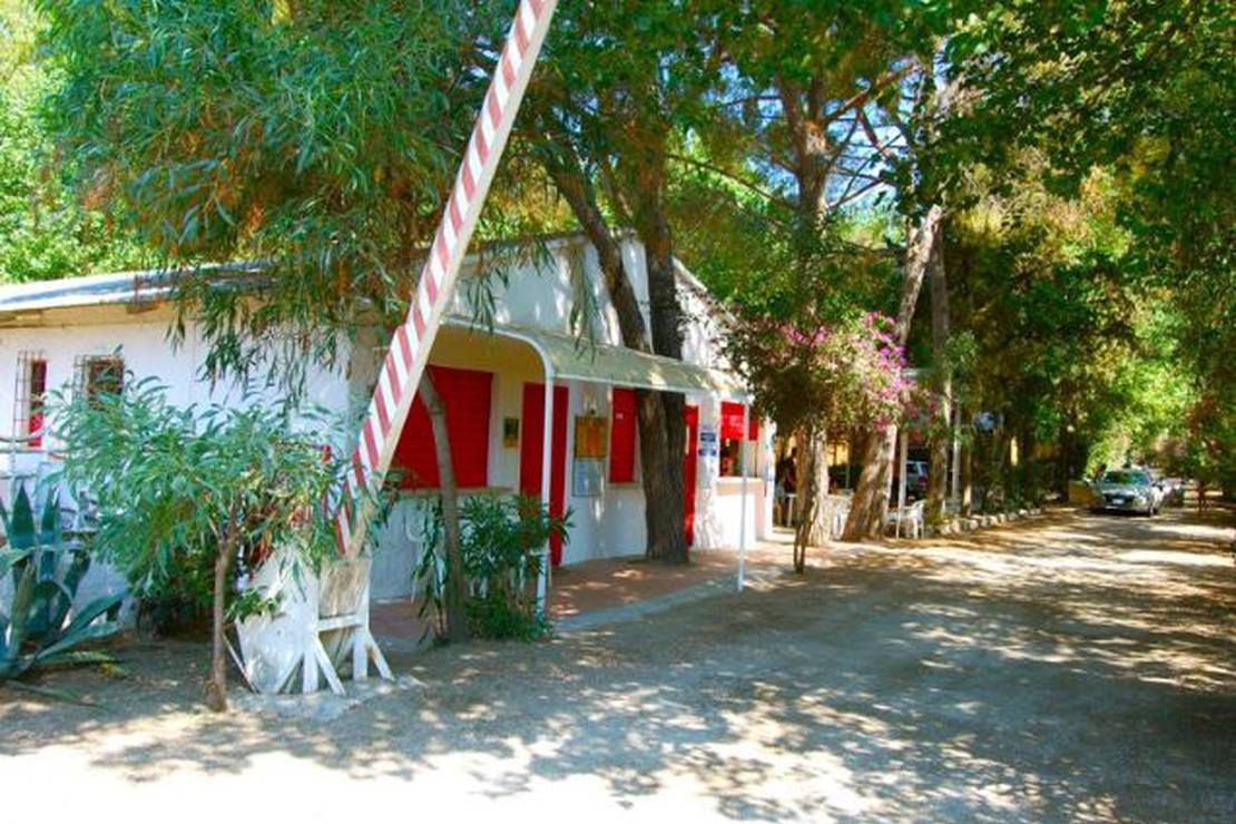 Campeggio Mimosa 3