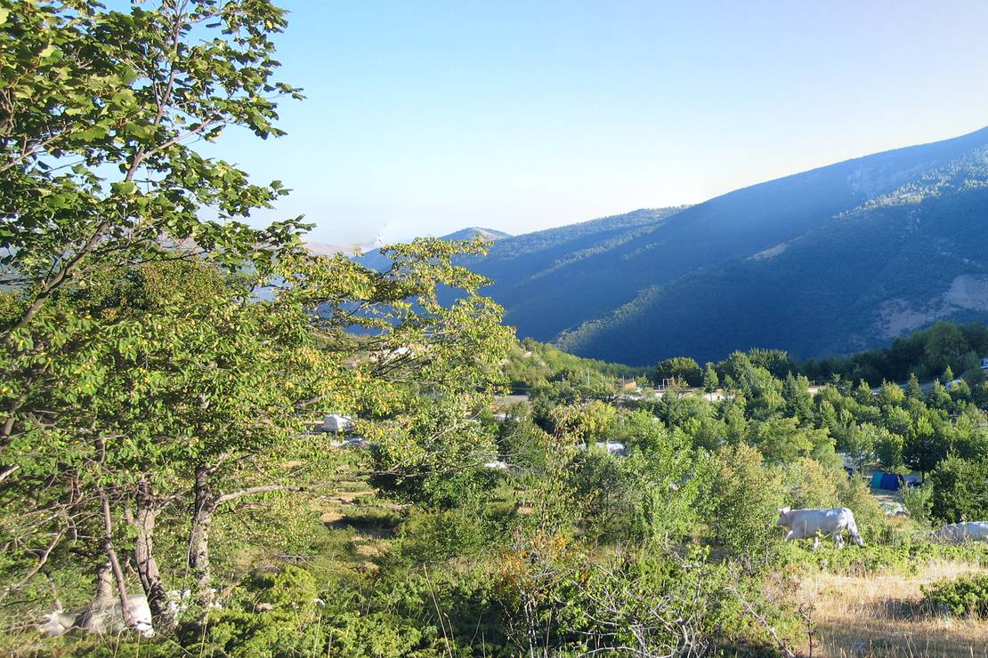 Campeggio Monte Prata 4