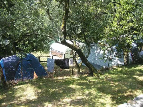 Campeggio Paradiso 7