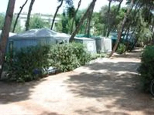 Campeggio Pineta al Mare 6