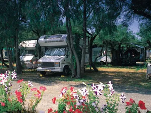 Campeggio Rada Etrusca 4