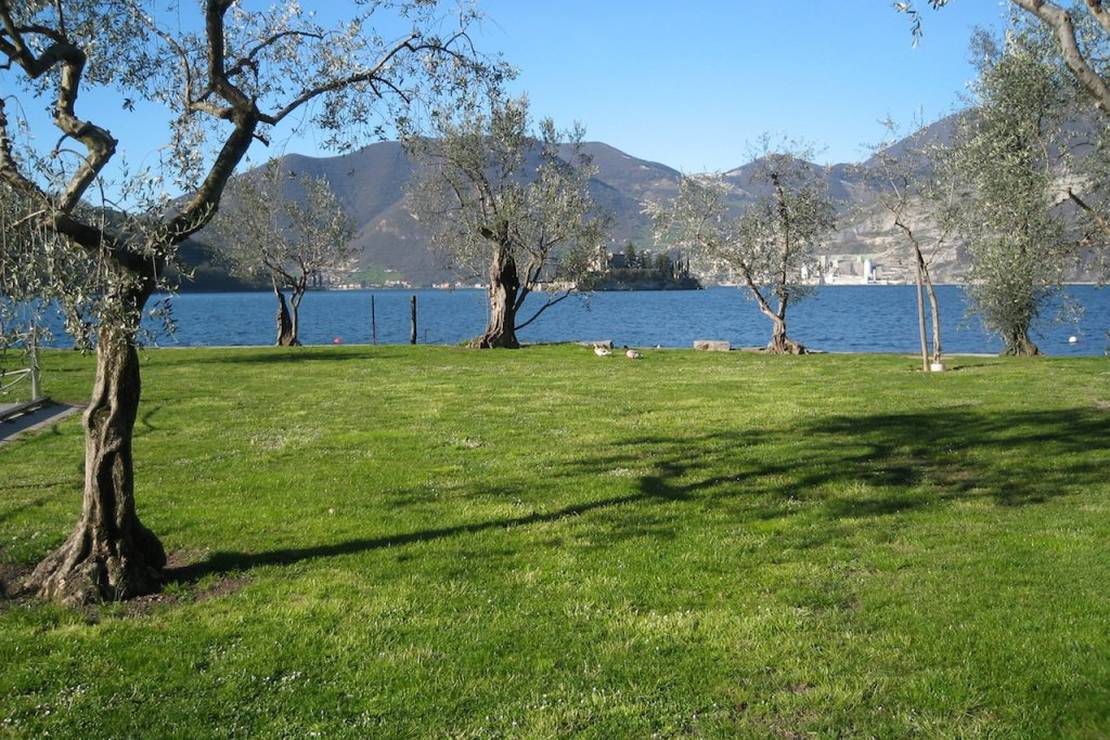 Campeggio Riva di San Pietro 5