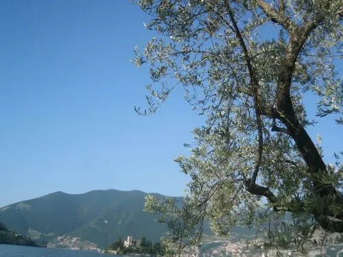 Campeggio Riva di San Pietro 6