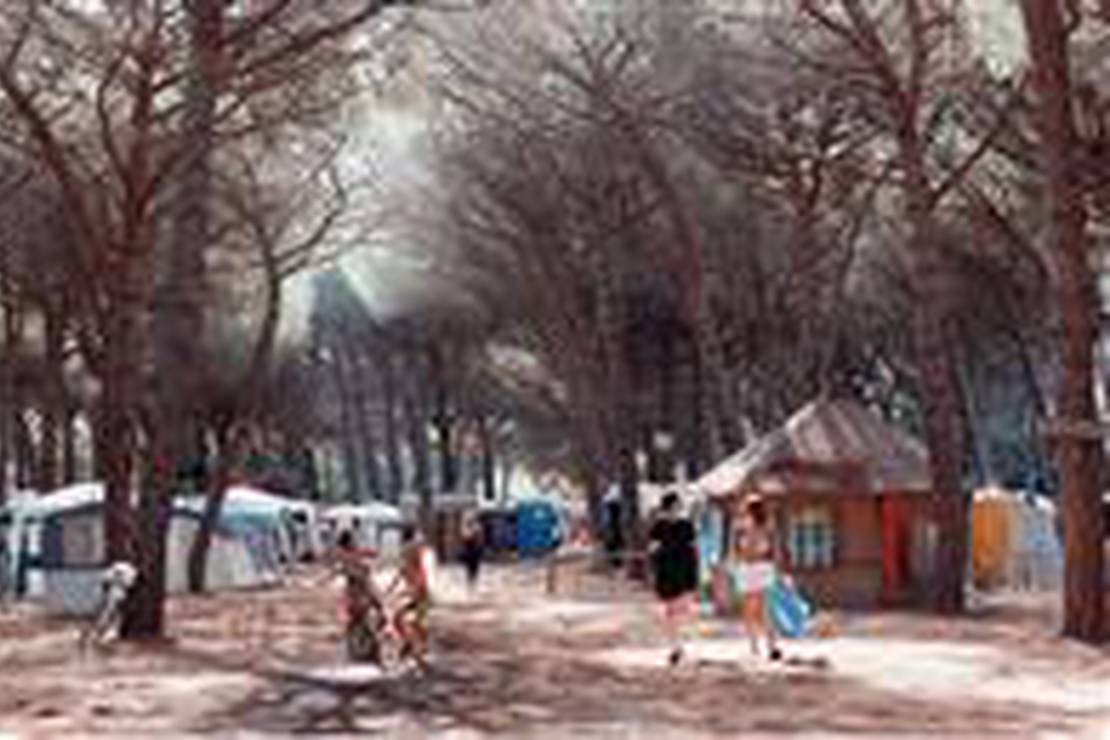 Campeggio Riviera degli Etruschi 4