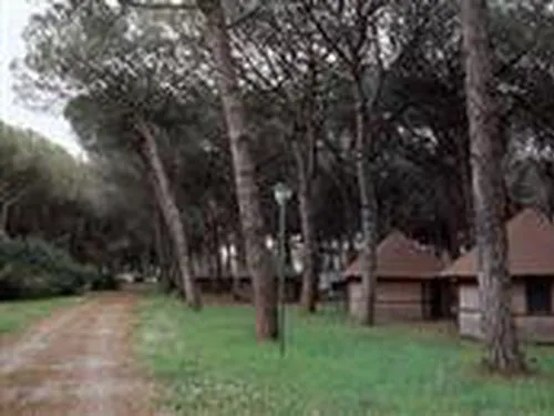 Campeggio Riviera degli Etruschi 5
