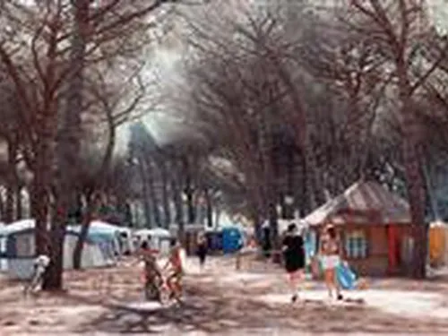 Campeggio Riviera degli Etruschi 3