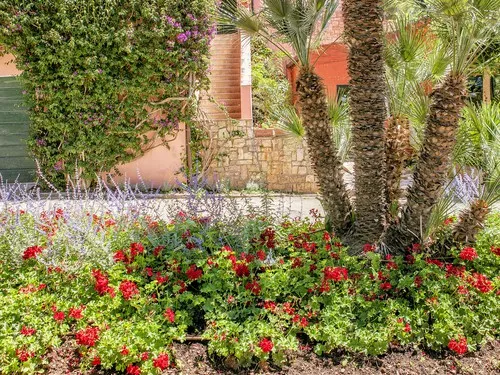 Campeggio Rosselba le Palme 6