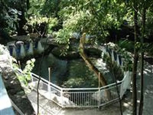 Campeggio Terme Varroniane 3