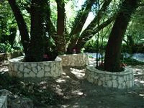 Campeggio Terme Varroniane 5