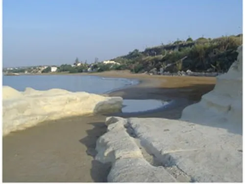 Campeggio The King`s Reef 3