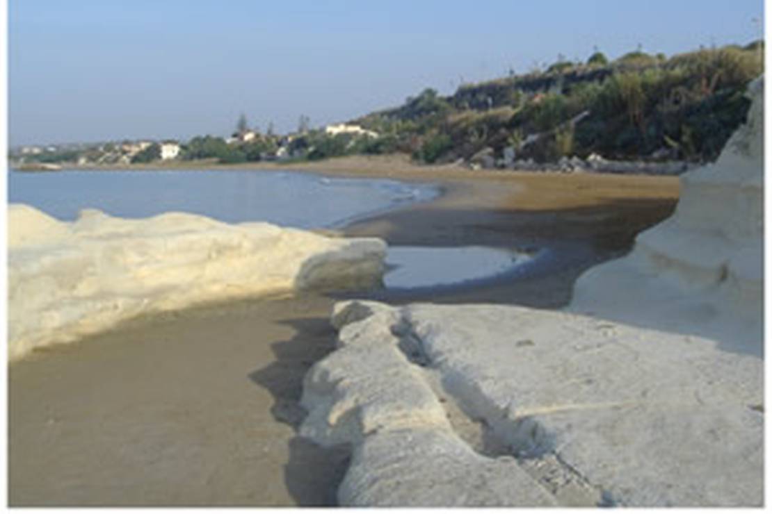 Campeggio The King`s Reef 4