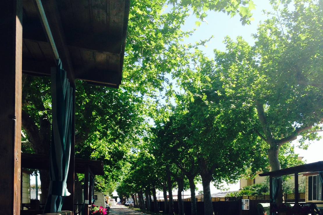 Campeggio Vallecrosia 8