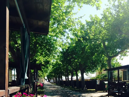 Campeggio Vallecrosia 7