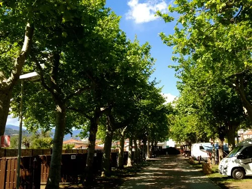 Campeggio Vallecrosia 9