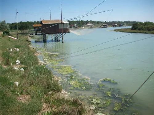 Club del Sole Pini Boutique Resort 5