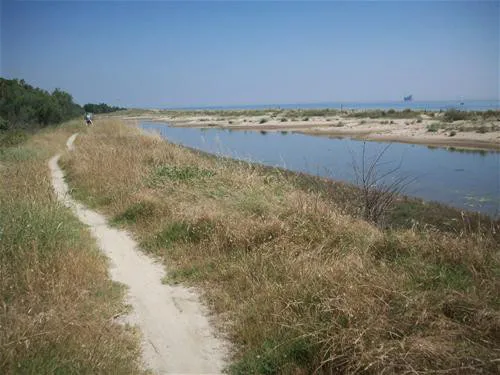 Club del Sole Pini Boutique Resort 3