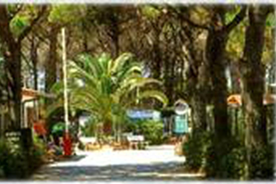 Campeggio Voltoncino 4