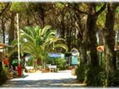 Campeggio Voltoncino 3