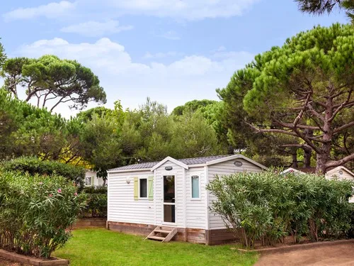 Camping 3 Estrellas 7