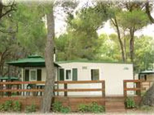 Camping 5 Stelle Villaggio 6