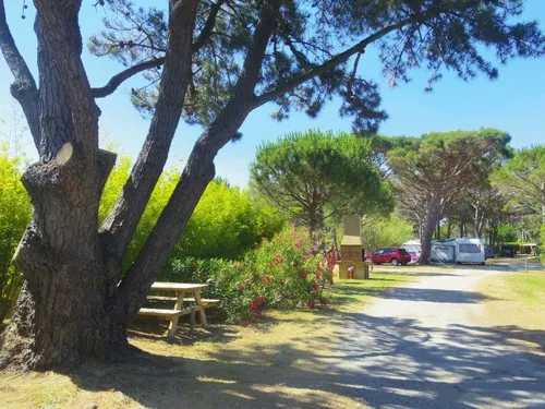Camping à la ferme des Eucalyptus 6