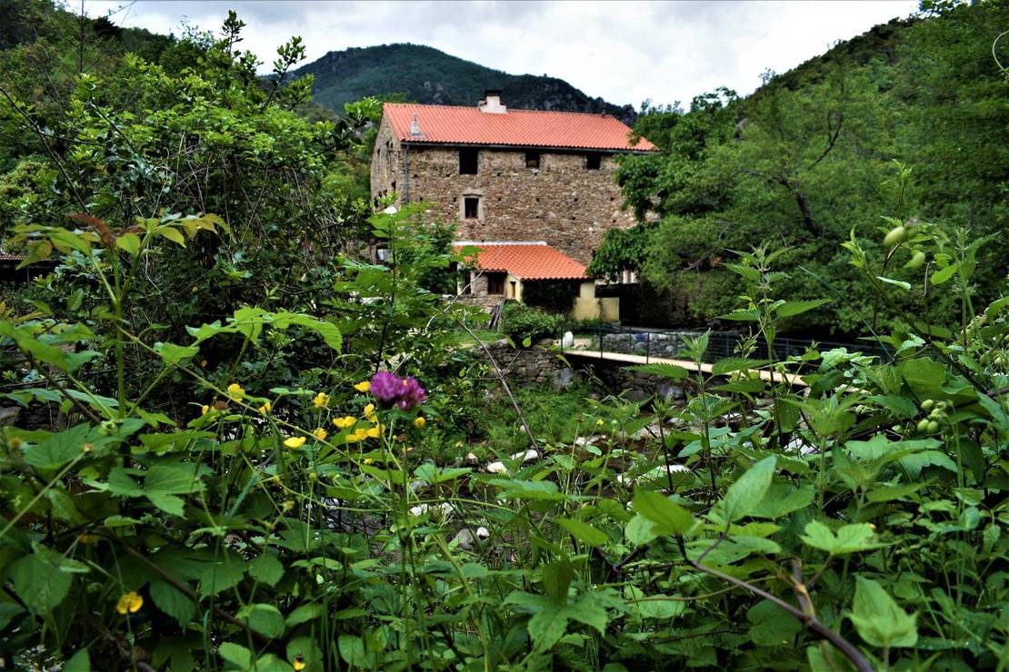 Camping à la ferme - Mas de la Fargassa 4
