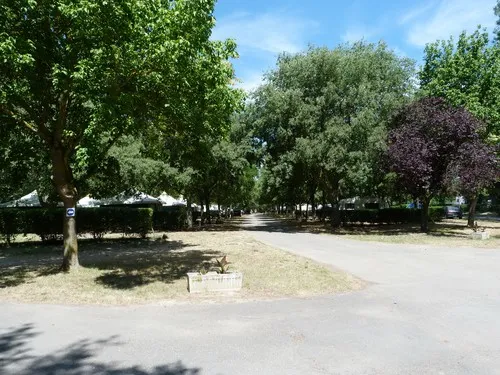 Camping à l'ombre des Micocouliers 4