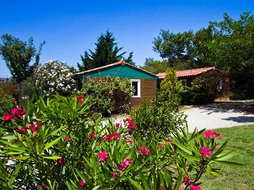 Camping A L'ombre Des Oliviers 6