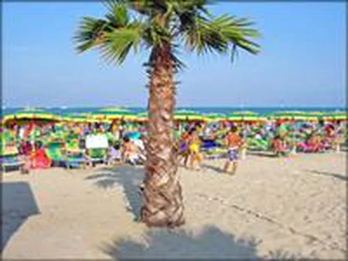Camping Adriatico 5